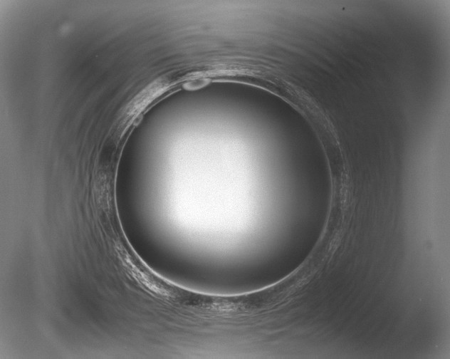 X0000086311177200703301143