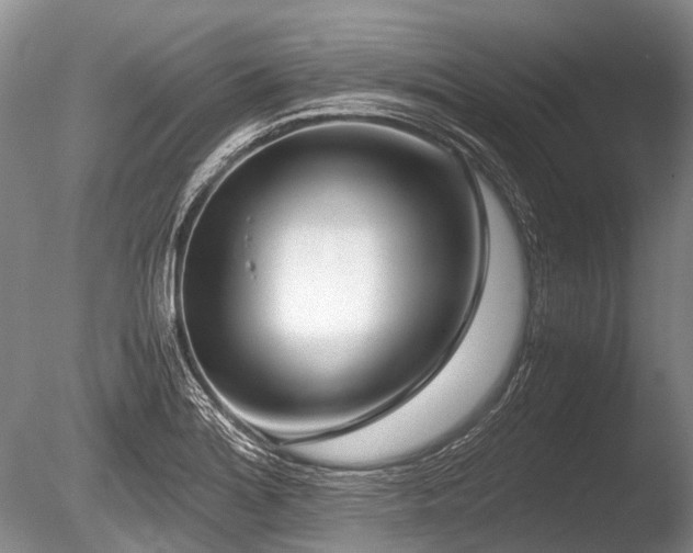 X0000086311180200703301143
