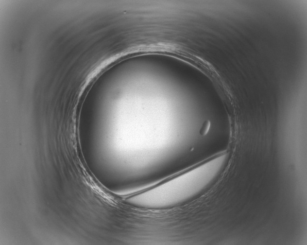 X0000086311184200703301143