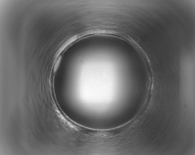 X0000086311189200703301142