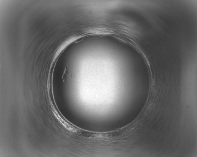 X0000086311195200703301142