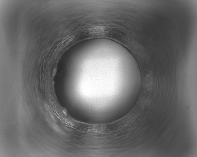 X0000086311201200703301141