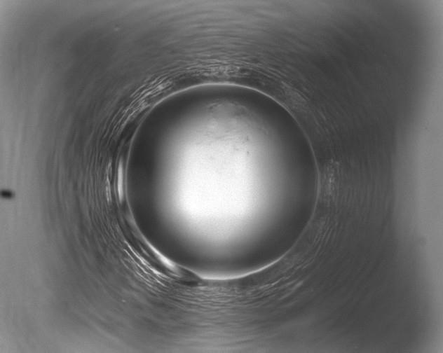 X0000086311202200703301141