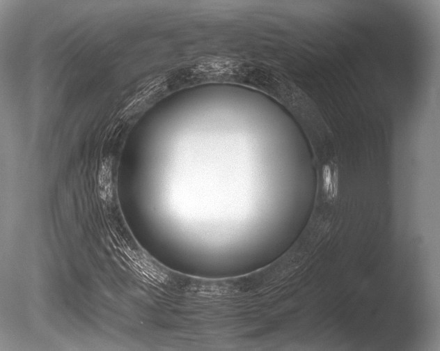 X0000086311203200703301141