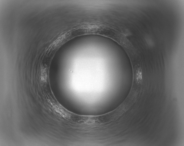 X0000086311204200703301141
