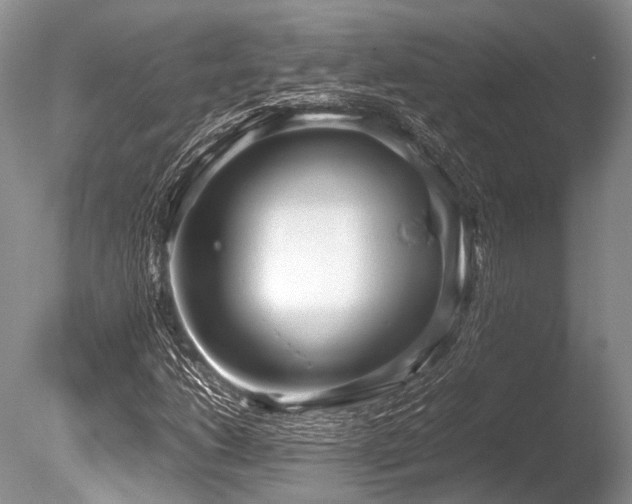 X0000086311206200703301142