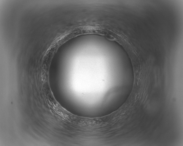 X0000086311207200703301142