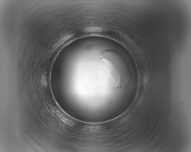 X0000086311209200703301142