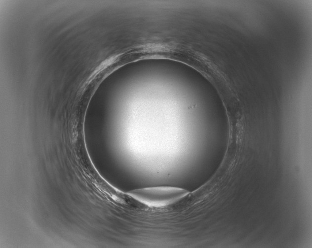 X0000086311213200703301142