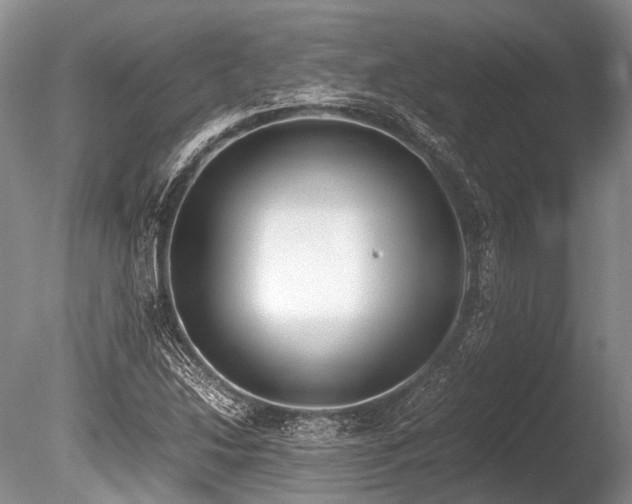 X0000086311214200703301142