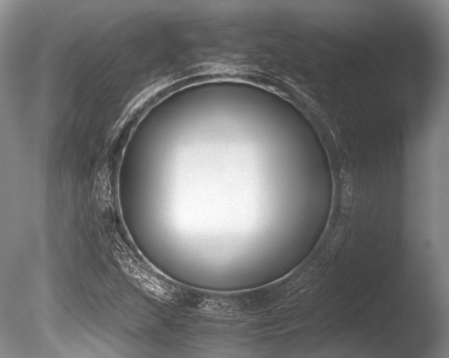 X0000086311215200703301142