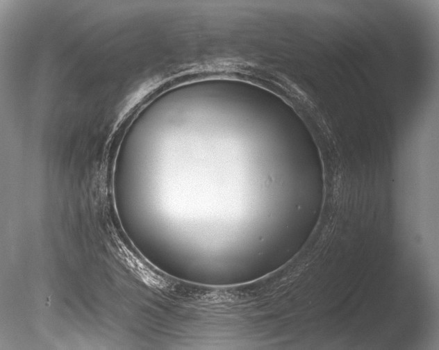 X0000086311216200703301142