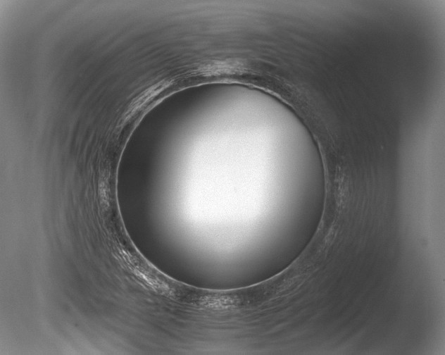 X0000086311217200703301142