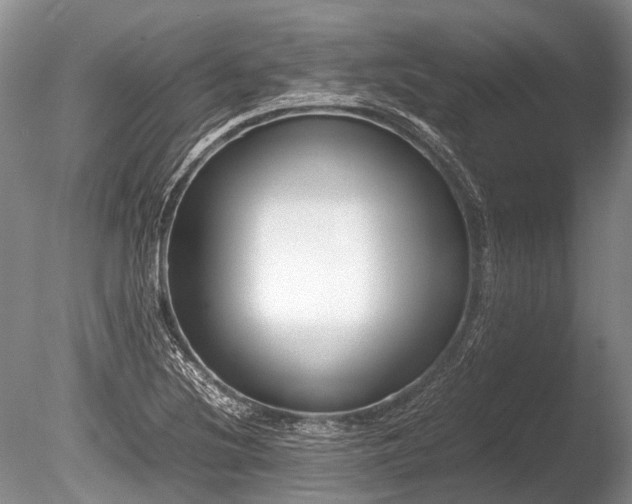 X0000086311220200703301142