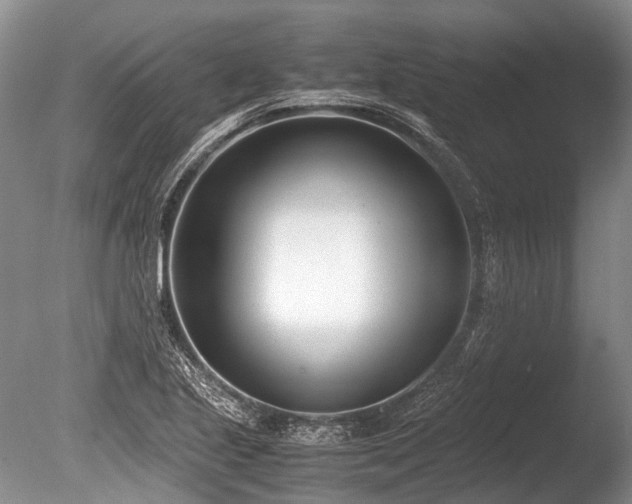 X0000086311221200703301142