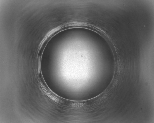 X0000086311223200703301142