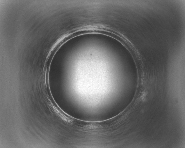 X0000086311224200703301142