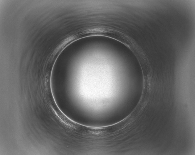 X0000086311225200703301142
