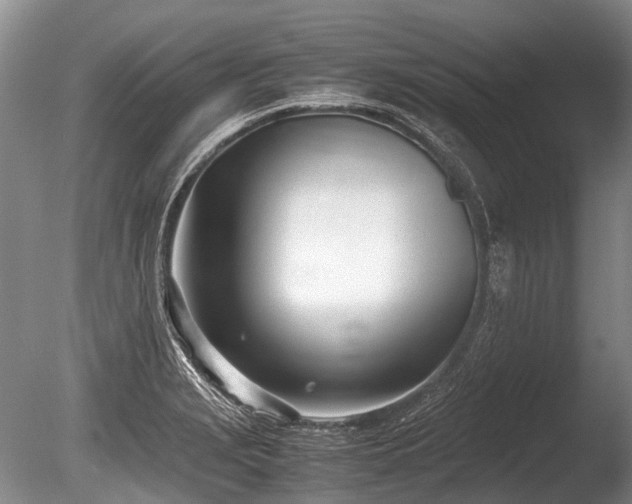 X0000086311229200703301142