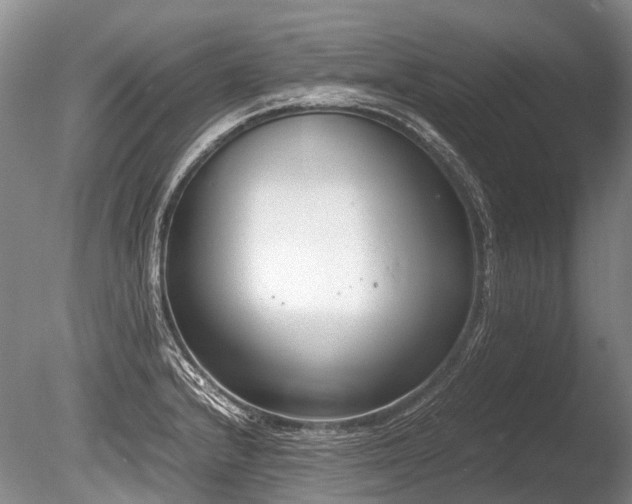X0000086311232200703301142