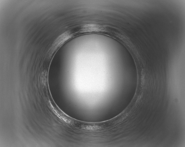 X0000086311233200703301142