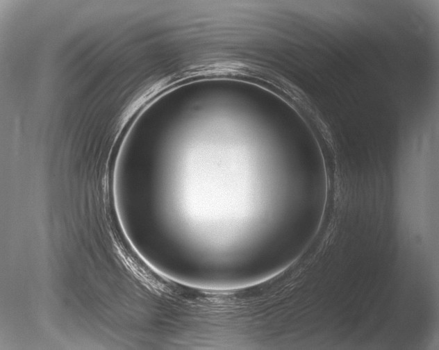X0000086311234200703301142