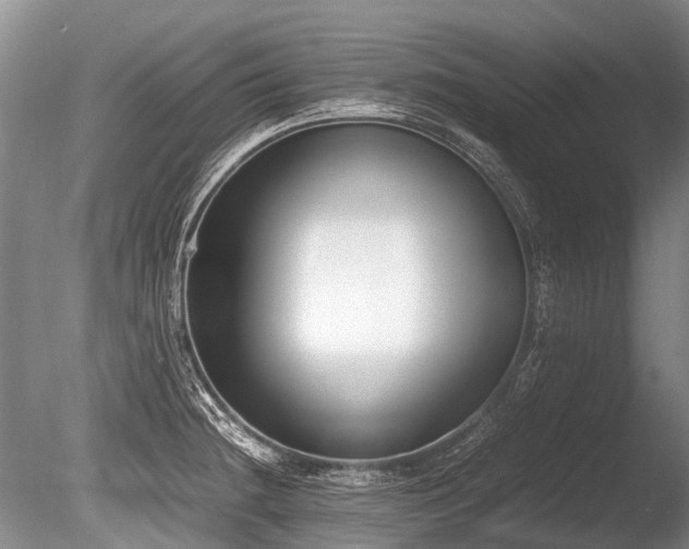 X0000086311236200703301142