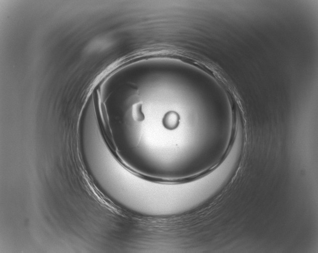 X0000086311242200703301142