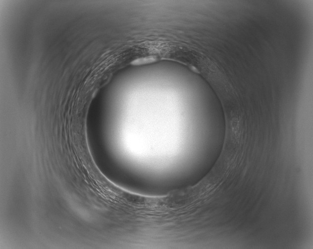 X0000086311249200703301141