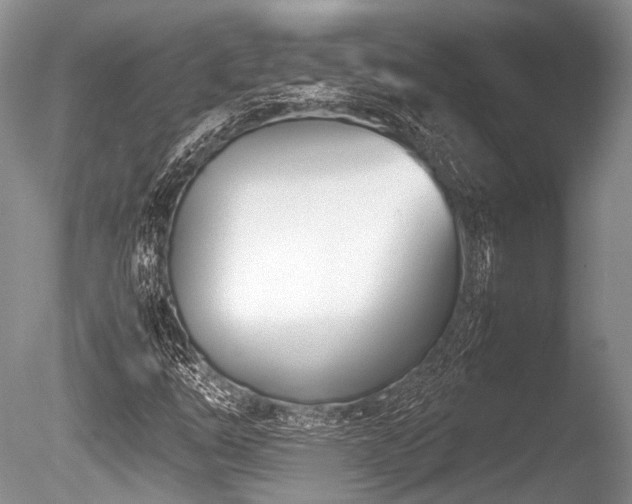 X0000086311254200703301141