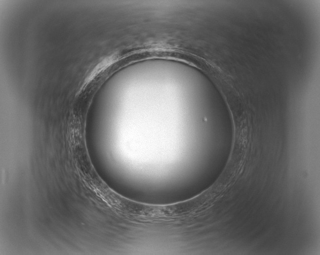 X0000086311255200703301141