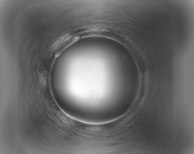 X0000086311257200703301141