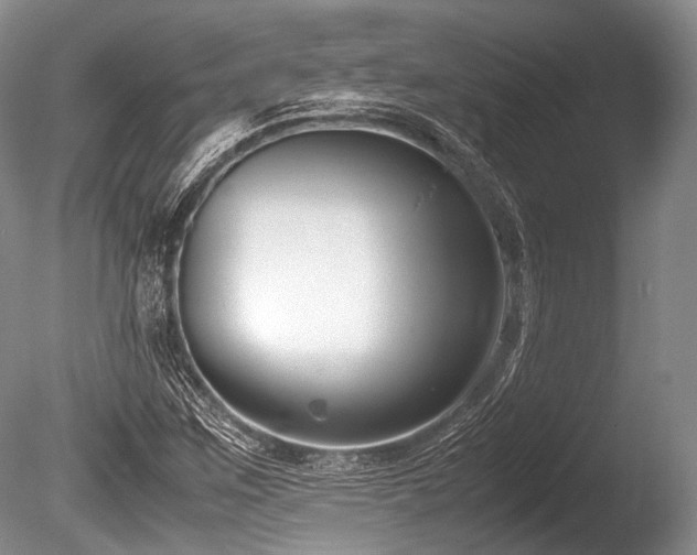 X0000086311259200703301141
