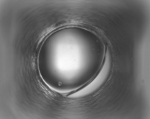 X0000086311260200703301141