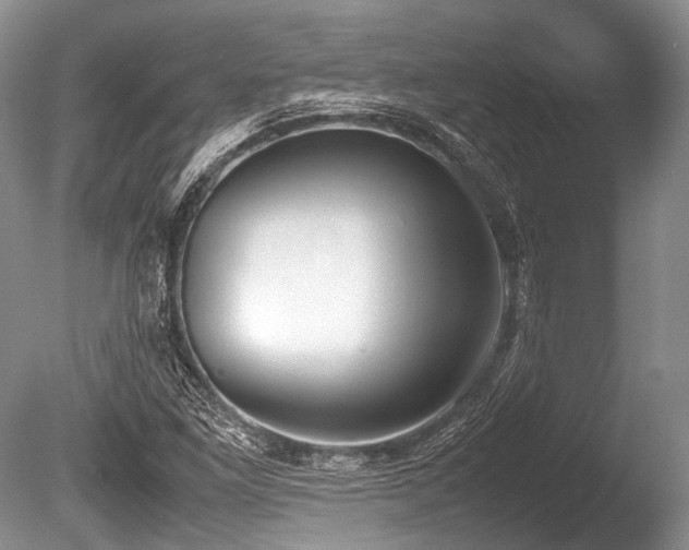 X0000086311261200703301141