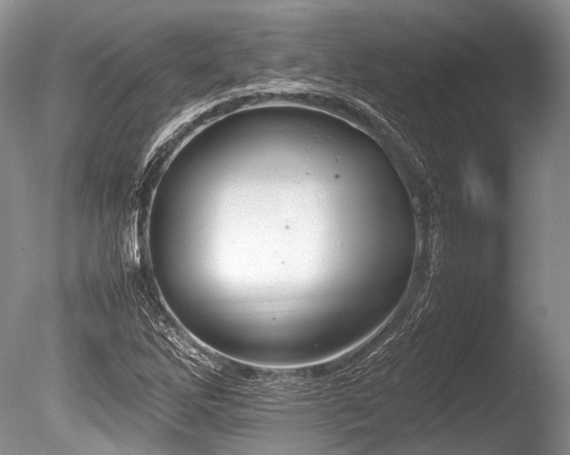 X0000086311262200703301141