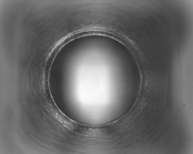 X0000086311264200703301141