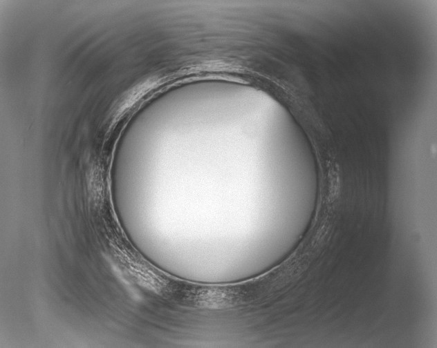 X0000086311266200703301141