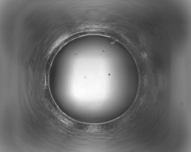 X0000086311267200703301141