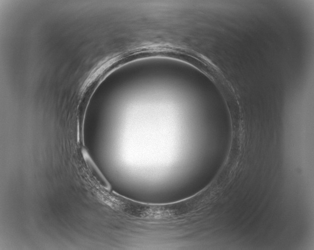 X0000086311269200703301141