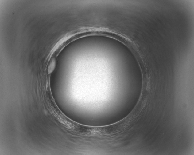 X0000086311271200703301141