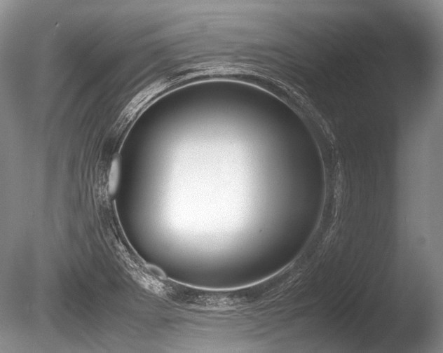 X0000086311273200703301141