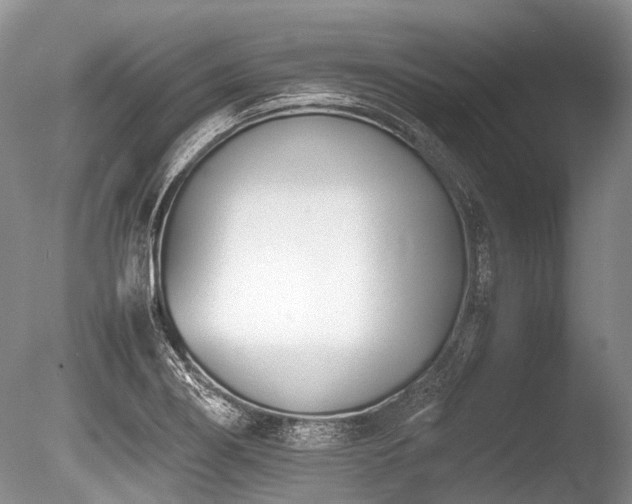 X0000086311274200703301141