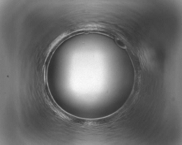 X0000086311275200703301141