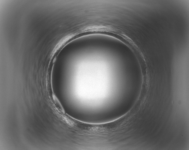 X0000086311277200703301141