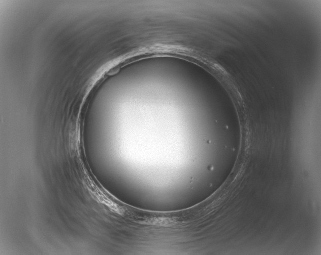 X0000086311280200703301141