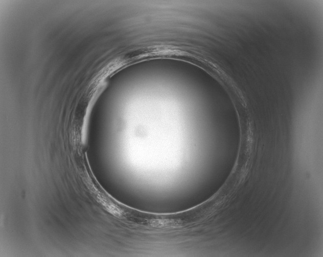 X0000086311281200703301141