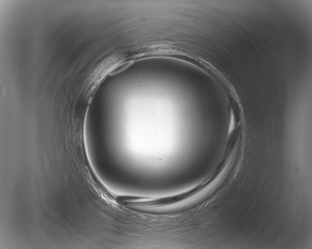 X0000086311289200703301141
