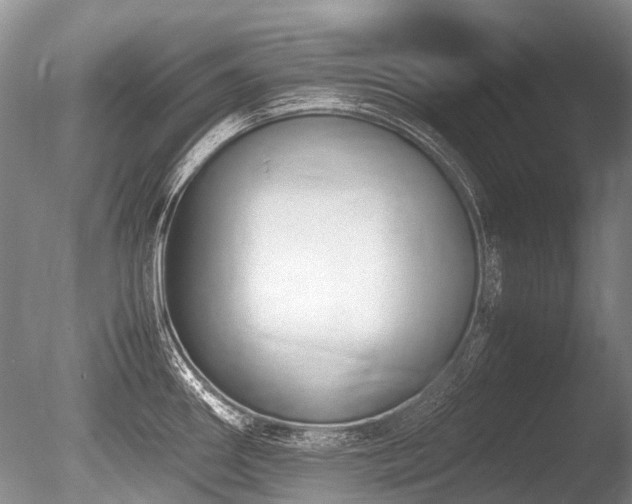 X0000086311290200703301141