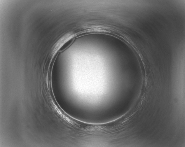 X0000086311293200703301141